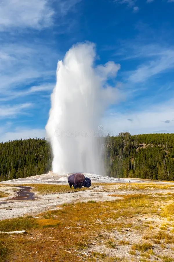 Yellowstone National Park